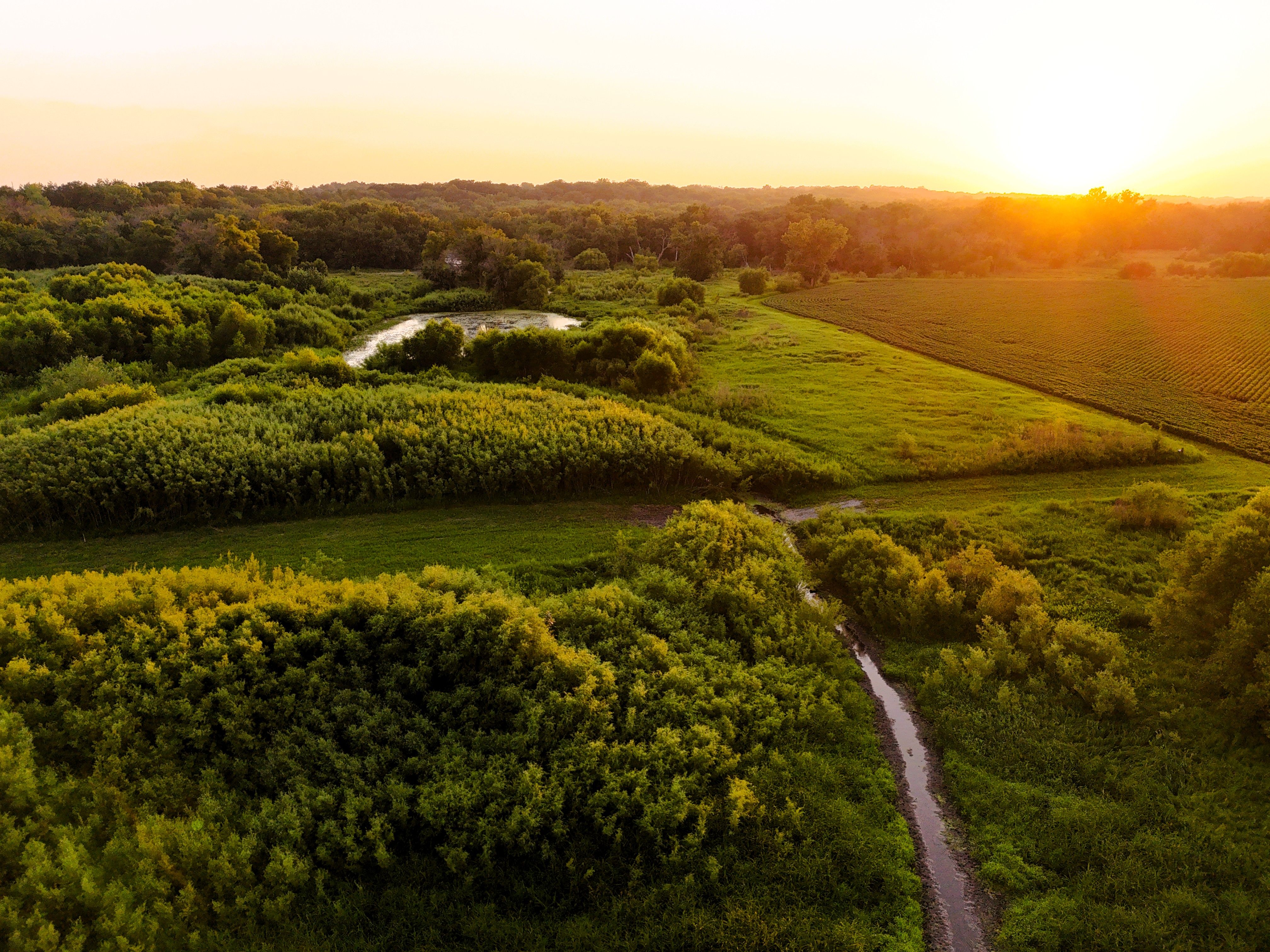 Listing Photo: Mid Air 31 - over willows 